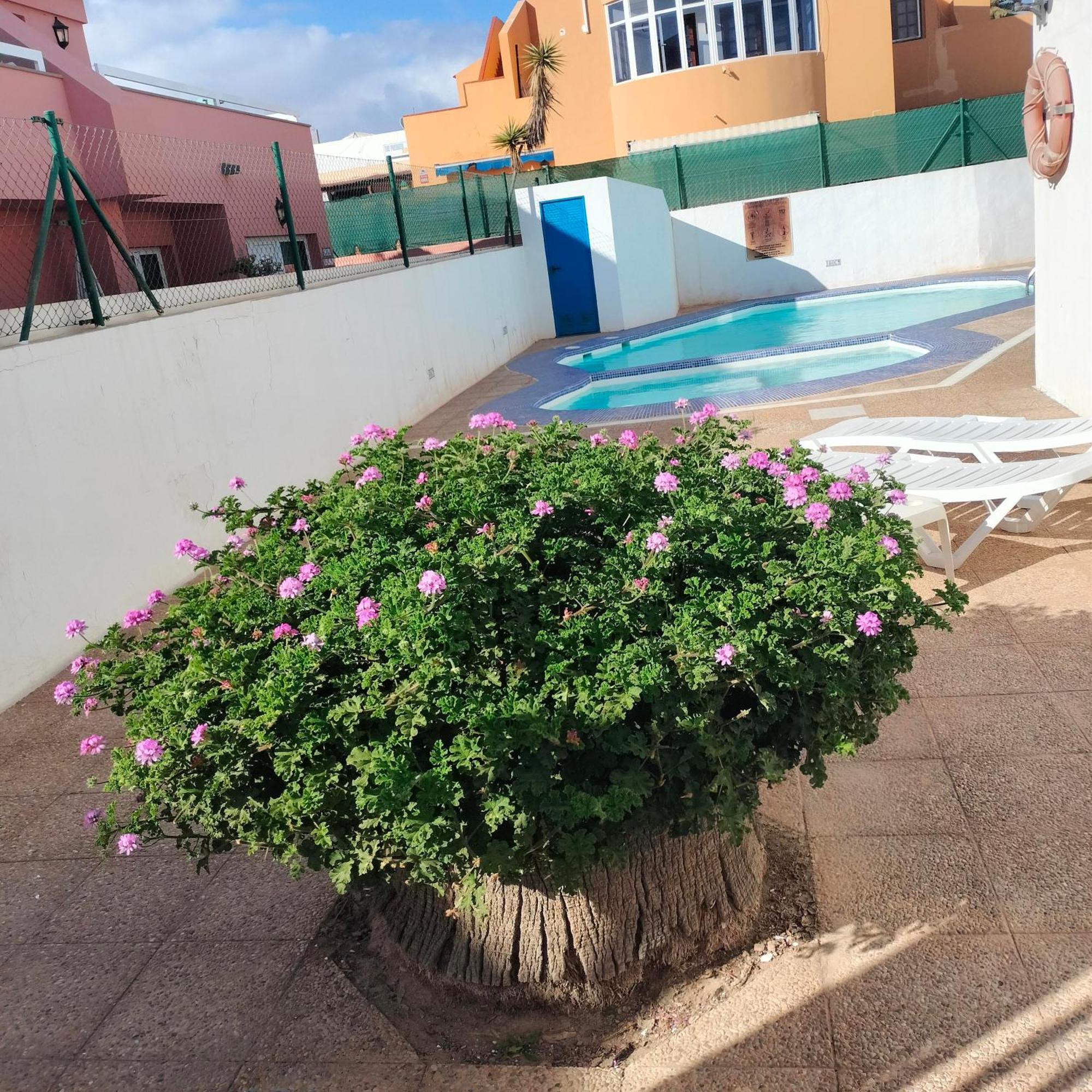 Vivienda Vacacional Alipatri Caleta de Fuste Extérieur photo